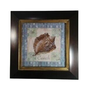 Tre Sorelle Sea Shell Conch Wall Art Framed Glass Print Beach Nautical